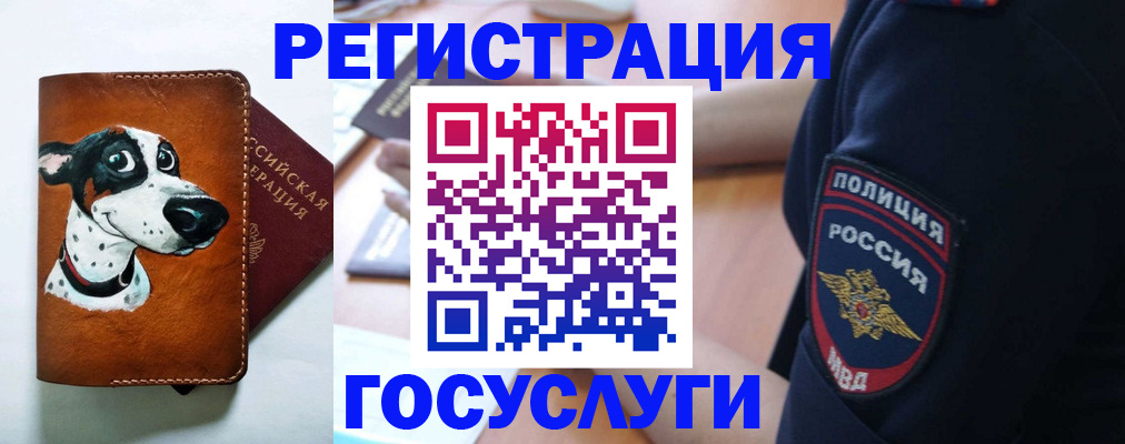 временная регистрация в квартире в Тюкалинске